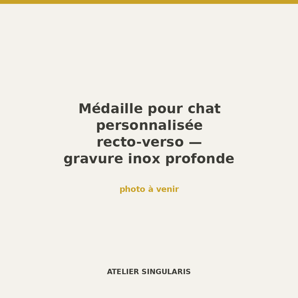 Médaille pour chat personnalisée recto-verso — gravure inox profonde