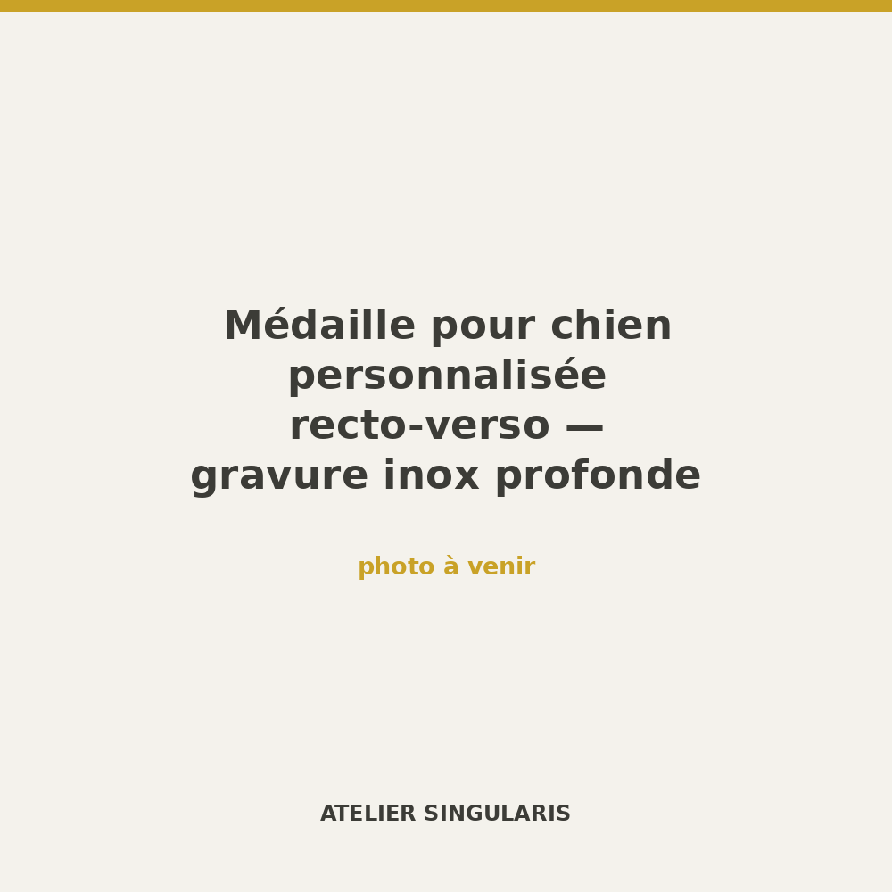 Médaille pour chien personnalisée recto-verso — gravure inox profonde
