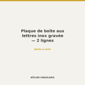 Plaque de boîte aux lettres inox gravée — 2 lignes