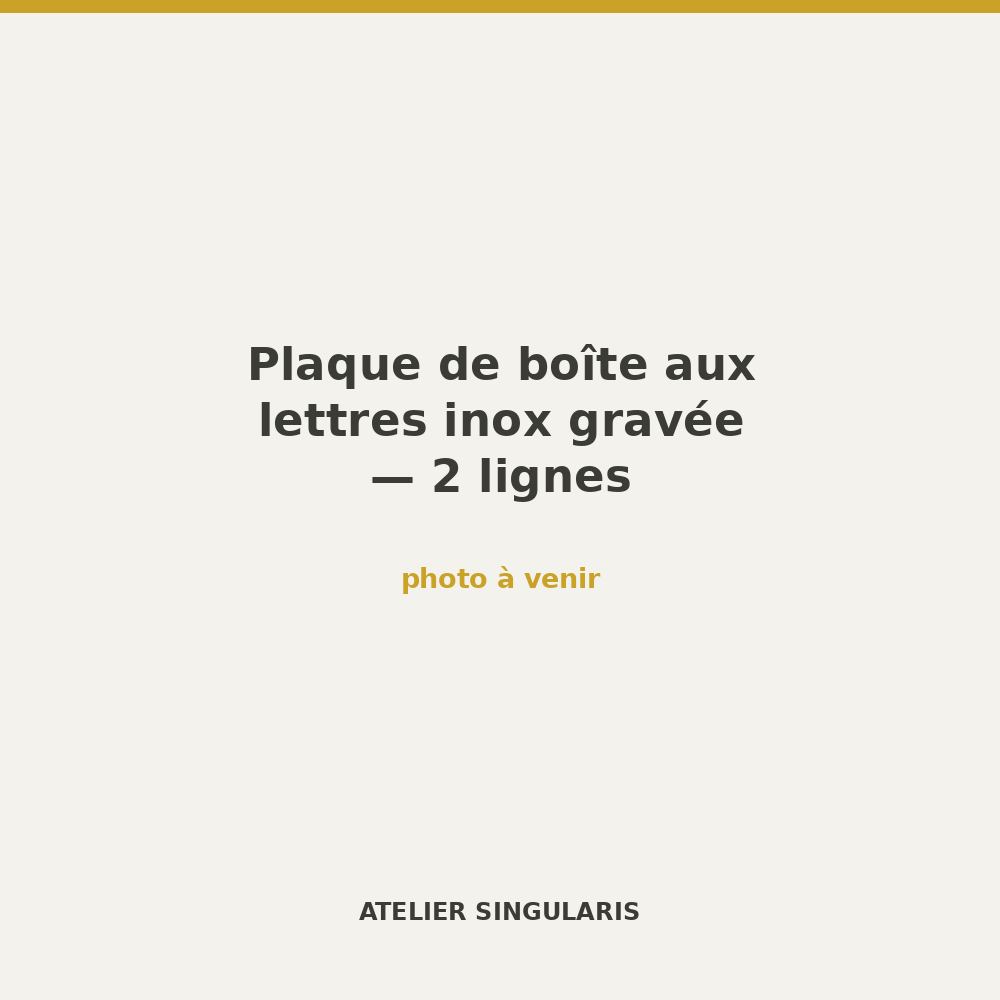 Plaque de boîte aux lettres inox gravée — 2 lignes